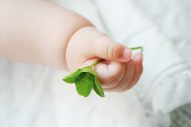 Traditional Chinese Medicine for Pregnancy | Natural Support for a Healthy Journey